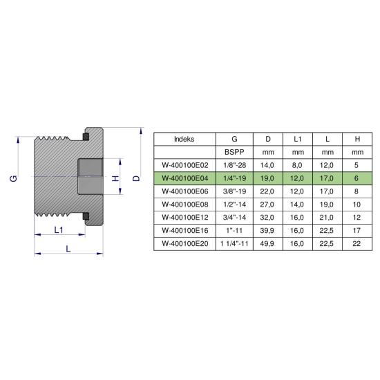 Korek hydrauliczny calowy (na imbus) 1/4" BSP ED Waryński ( sprzedawane po 10 )