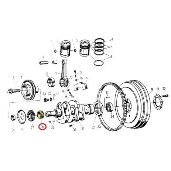 Koło zębate rozrządu na wał korbowy C-330 Skropol