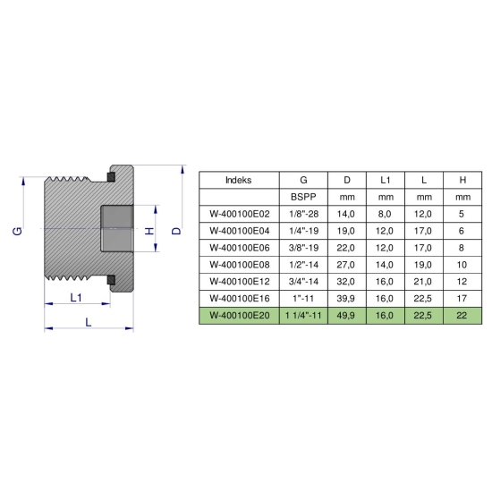 Korek hydrauliczny calowy (na imbus) 1 1/4" BSP ED Waryński